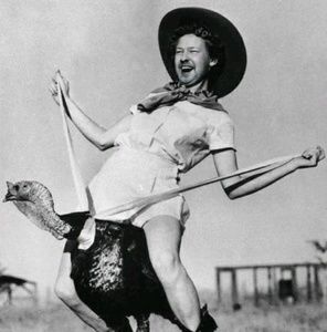 Meet your Posher, Andrew